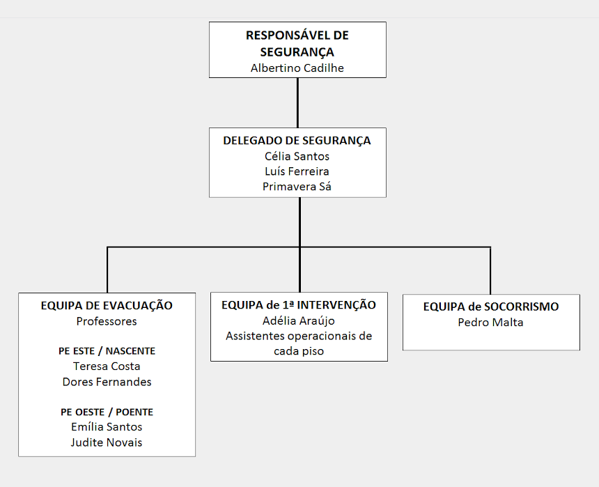 psi organograma de seguranca